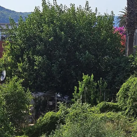 Emona Apartment *