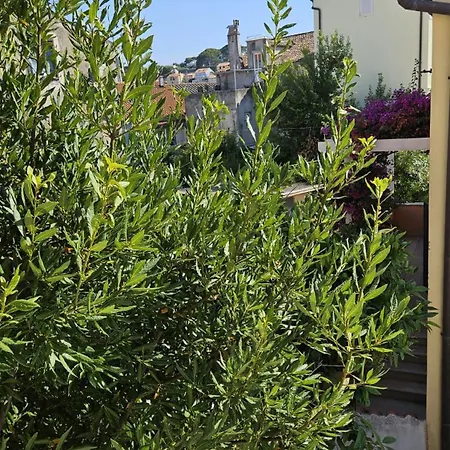 Emona Apartment
