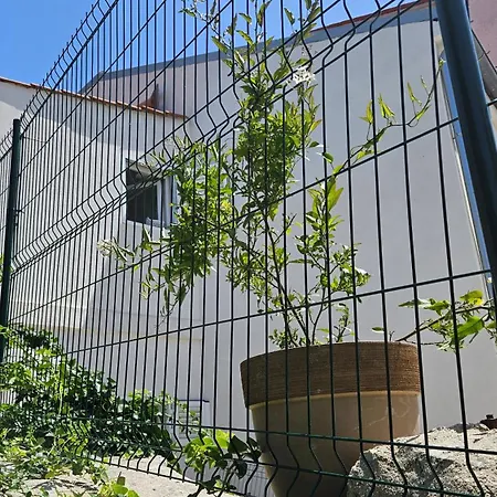 Emona マリ・ロシニュ